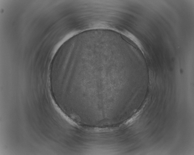 X0000067841142200604271613