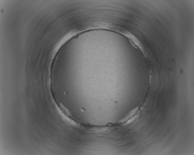 X0000067841143200604271613