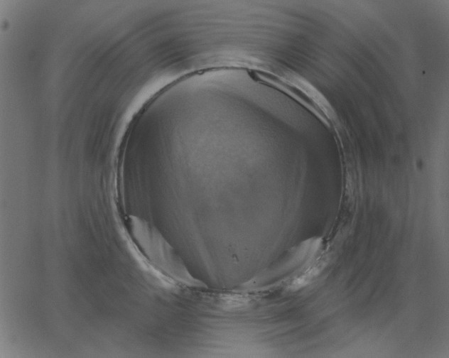 X0000067841144200604271613