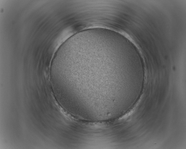 X0000067841145200604271613