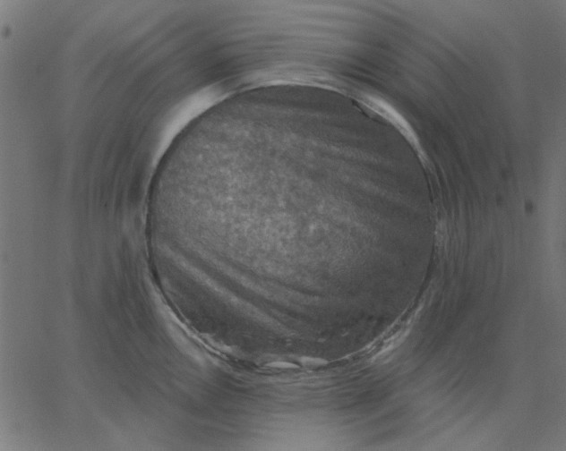 X0000067841146200604271613