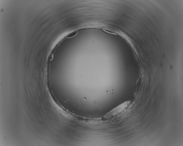 X0000067841147200604271613