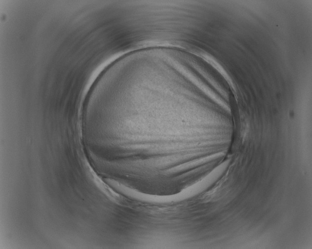 X0000067841148200604271613