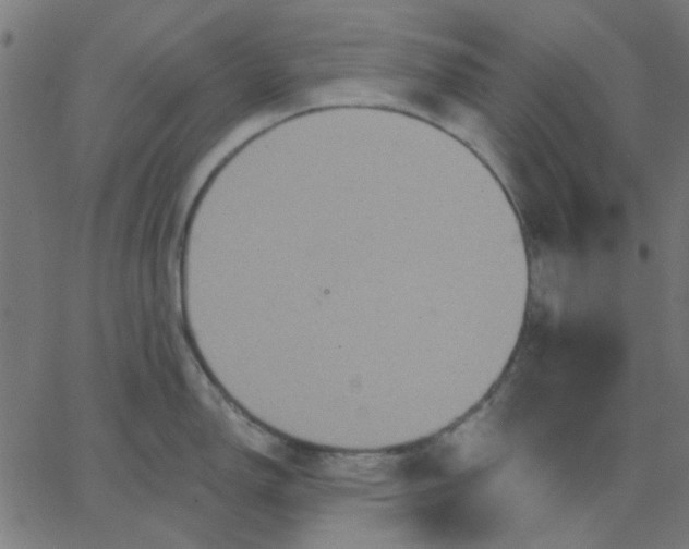 X0000067841150200604271613