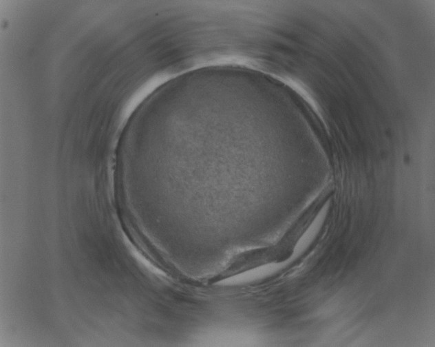 X0000067841151200604271613