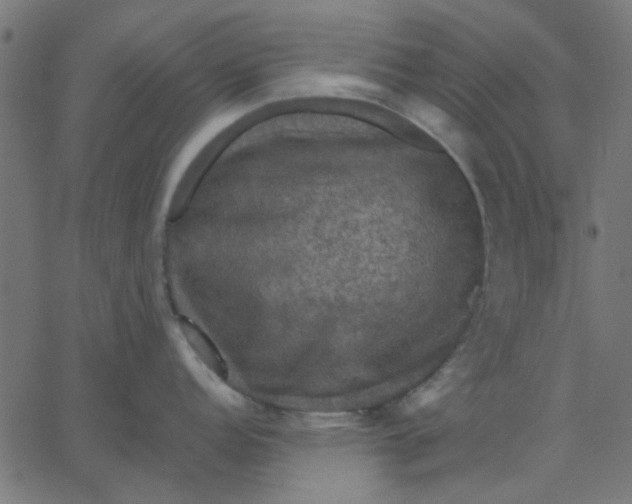 X0000067841152200604271613