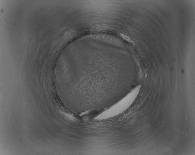 X0000067841153200604271612