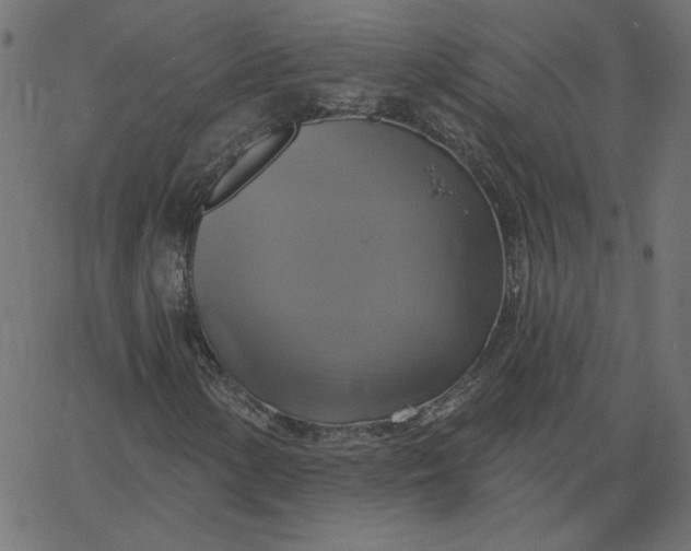 X0000067841154200604271612