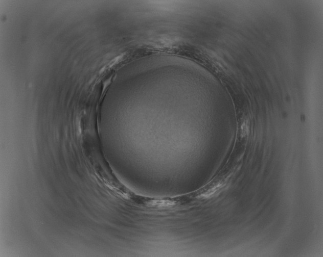 X0000067841156200604271612