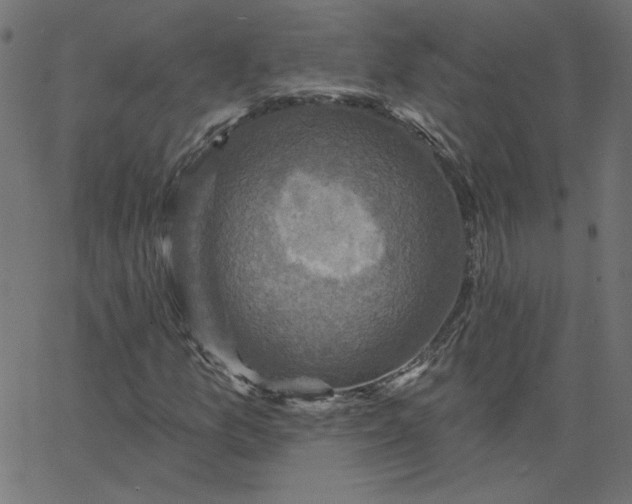 X0000067841157200604271612