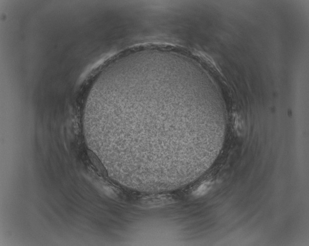 X0000067841159200604271612