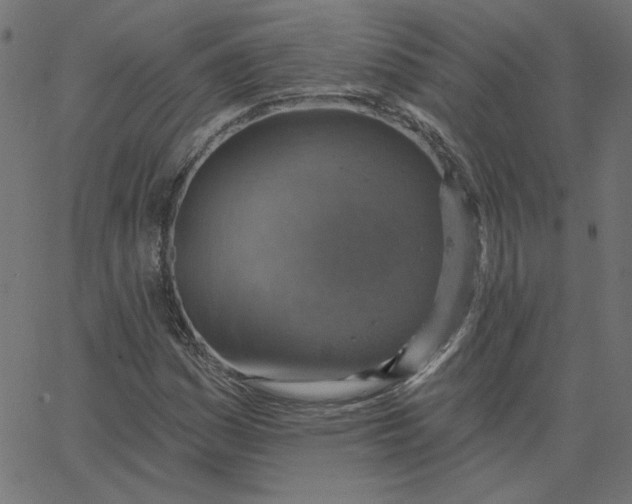 X0000067841161200604271612