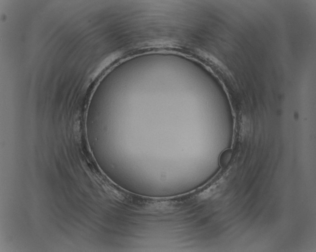 X0000067841162200604271612