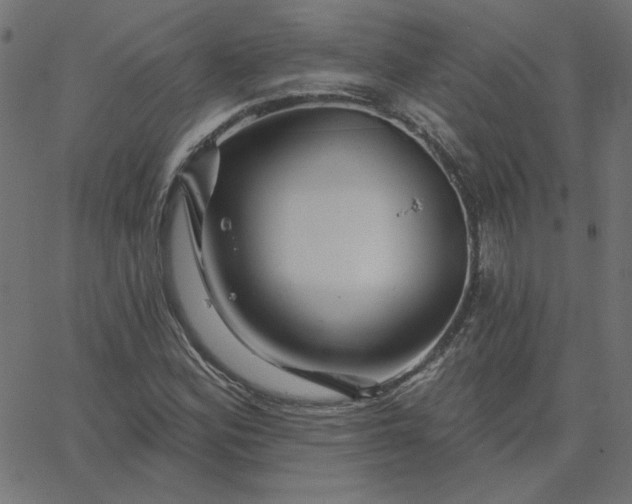 X0000067841164200604271612