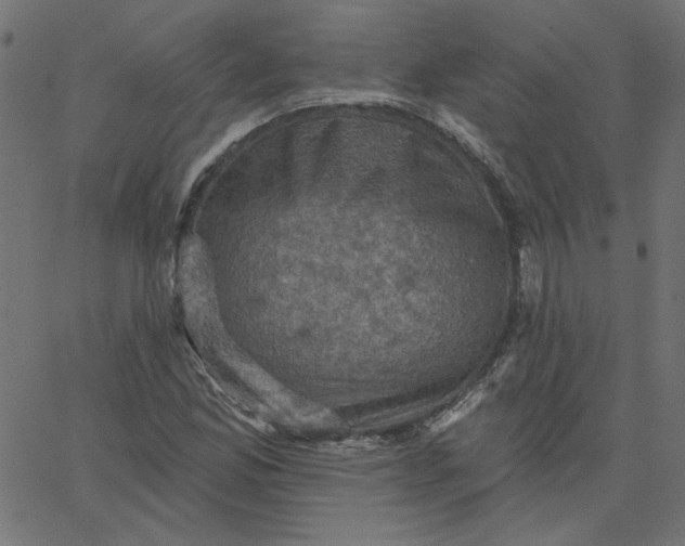 X0000067841165200604271612