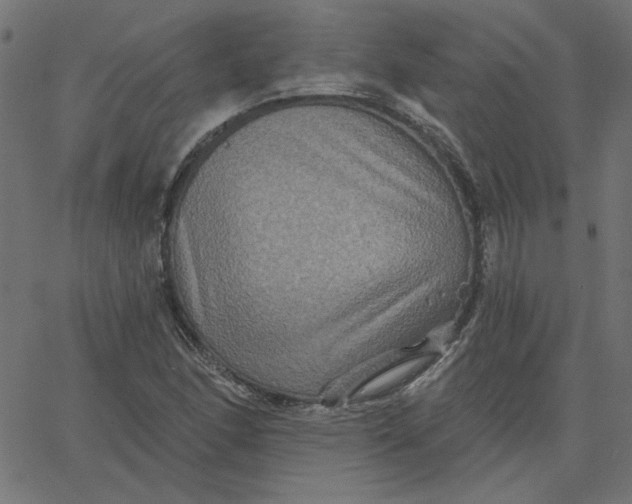 X0000067841166200604271612