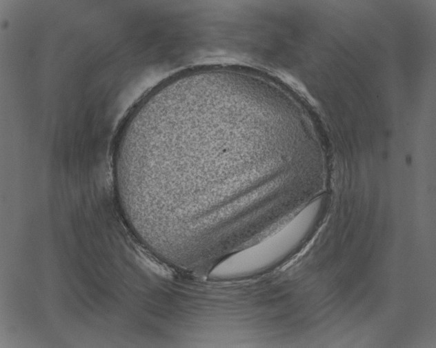 X0000067841167200604271612