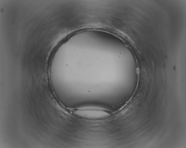 X0000067841168200604271612