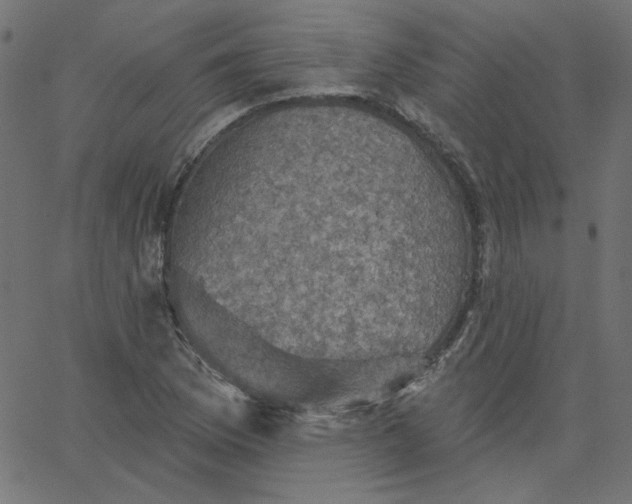 X0000067841169200604271612