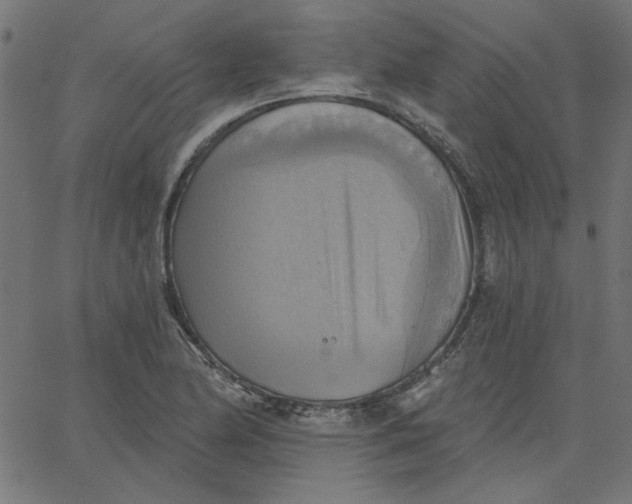 X0000067841174200604271612