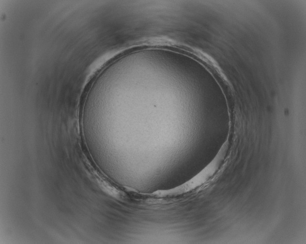 X0000067841176200604271612