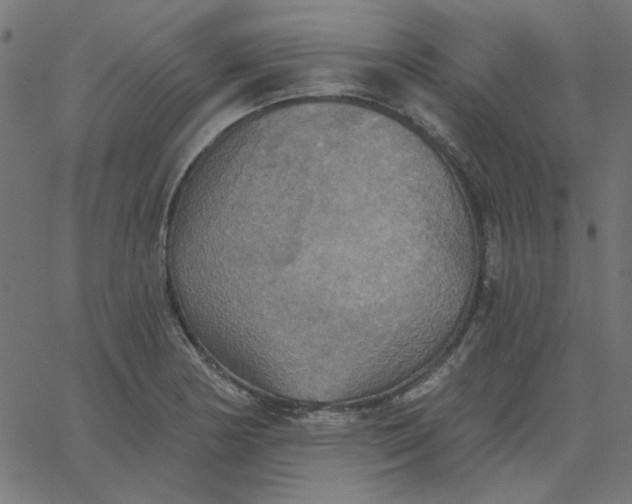 X0000067841178200604271612