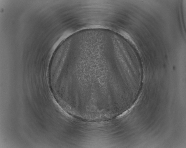 X0000067841181200604271612