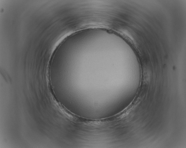 X0000067841182200604271612