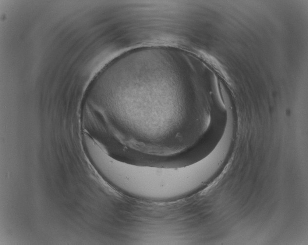 X0000067841184200604271612