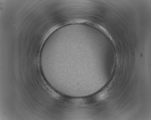 X0000067841186200604271612