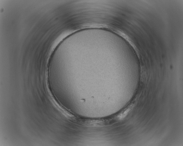 X0000067841187200604271612