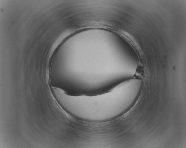 X0000067841188200604271612