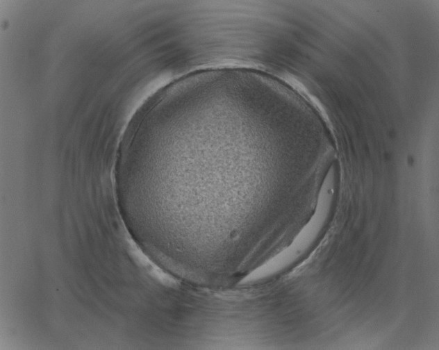 X0000067841189200604271612