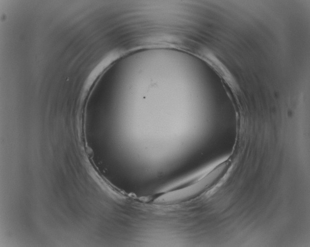 X0000067841196200604271612