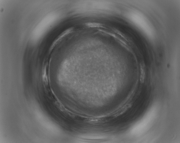 X0000067841198200604271612