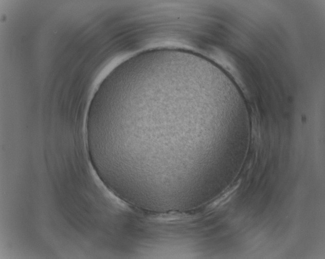 X0000067841199200604271612