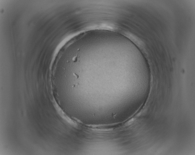 X0000067841200200604271612