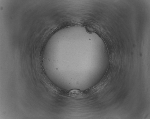 X0000067841201200604271611