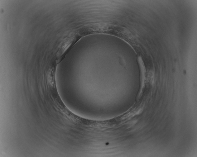 X0000067841202200604271611