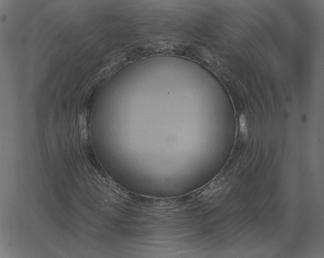 X0000067841203200604271611