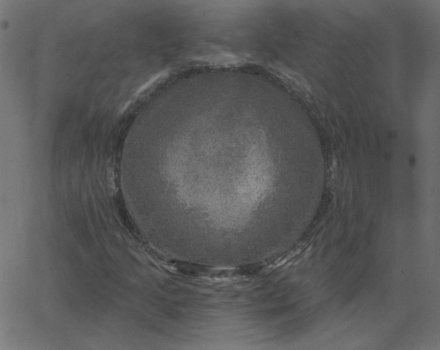 X0000067841205200604271611