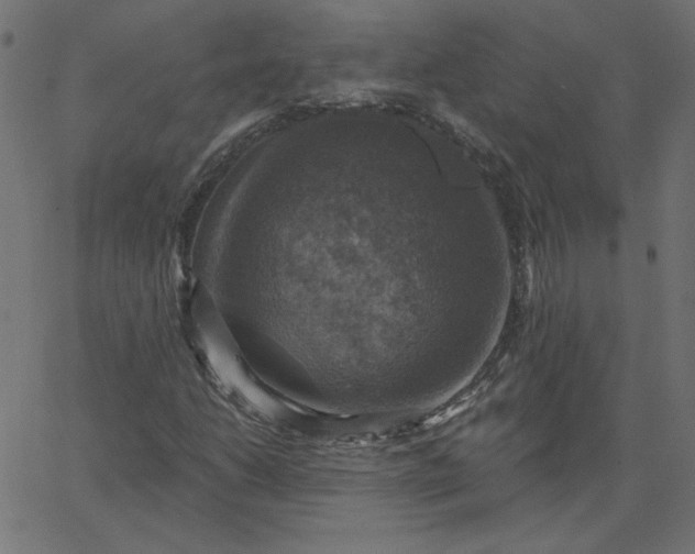 X0000067841206200604271611