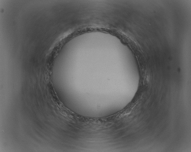 X0000067841207200604271611