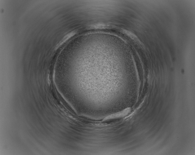 X0000067841209200604271611