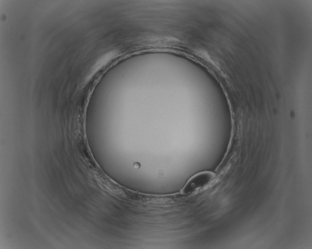 X0000067841211200604271611