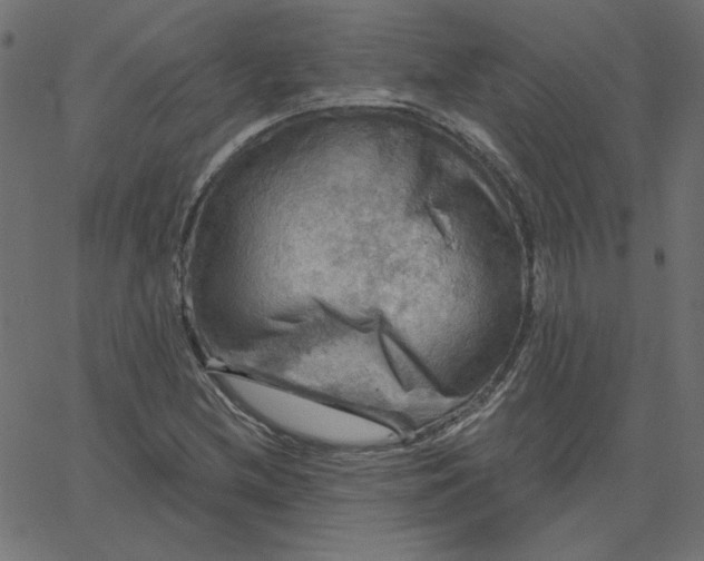 X0000067841212200604271611