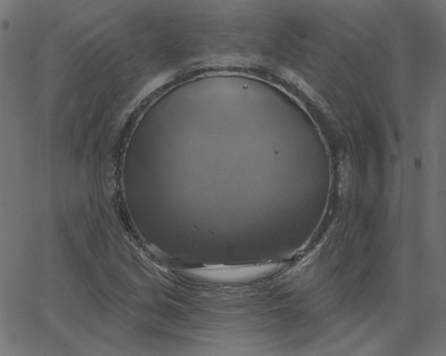 X0000067841213200604271611