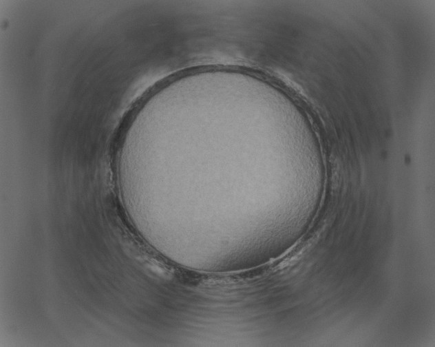 X0000067841215200604271611