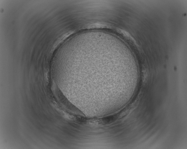 X0000067841217200604271611