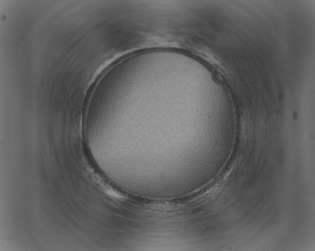 X0000067841220200604271611